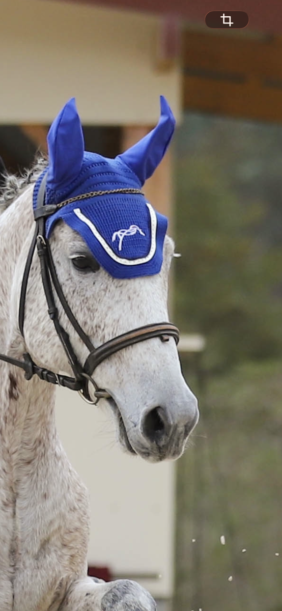 bonnet Pénélope bleu roi