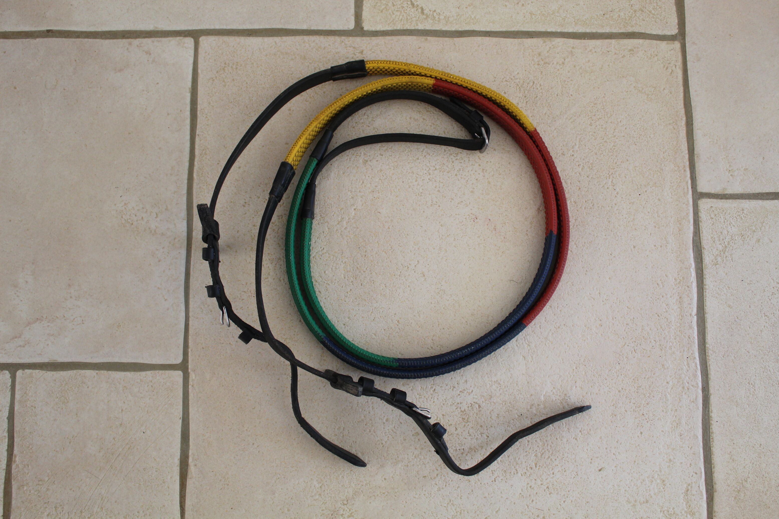 Rênes éducatives de couleur