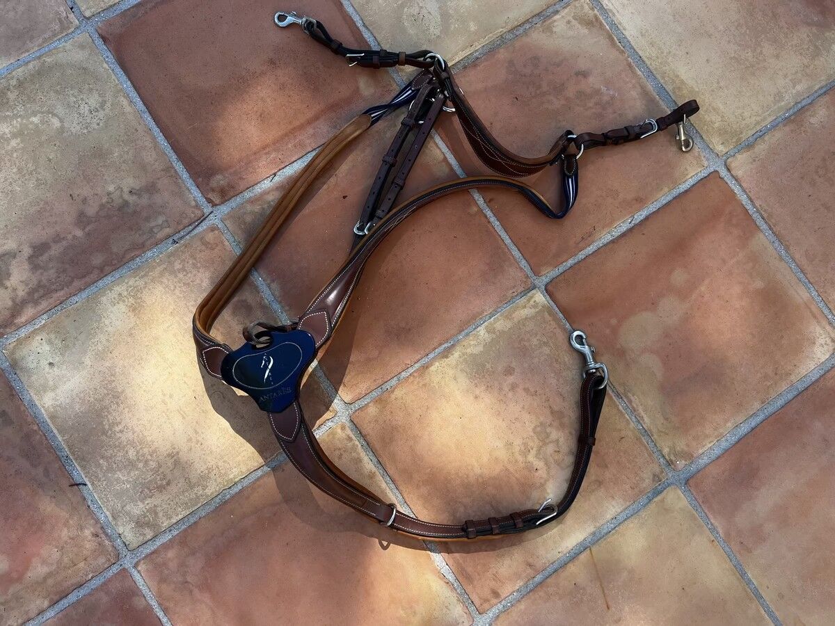 Collier de chasse ANTARES taille grand cheval