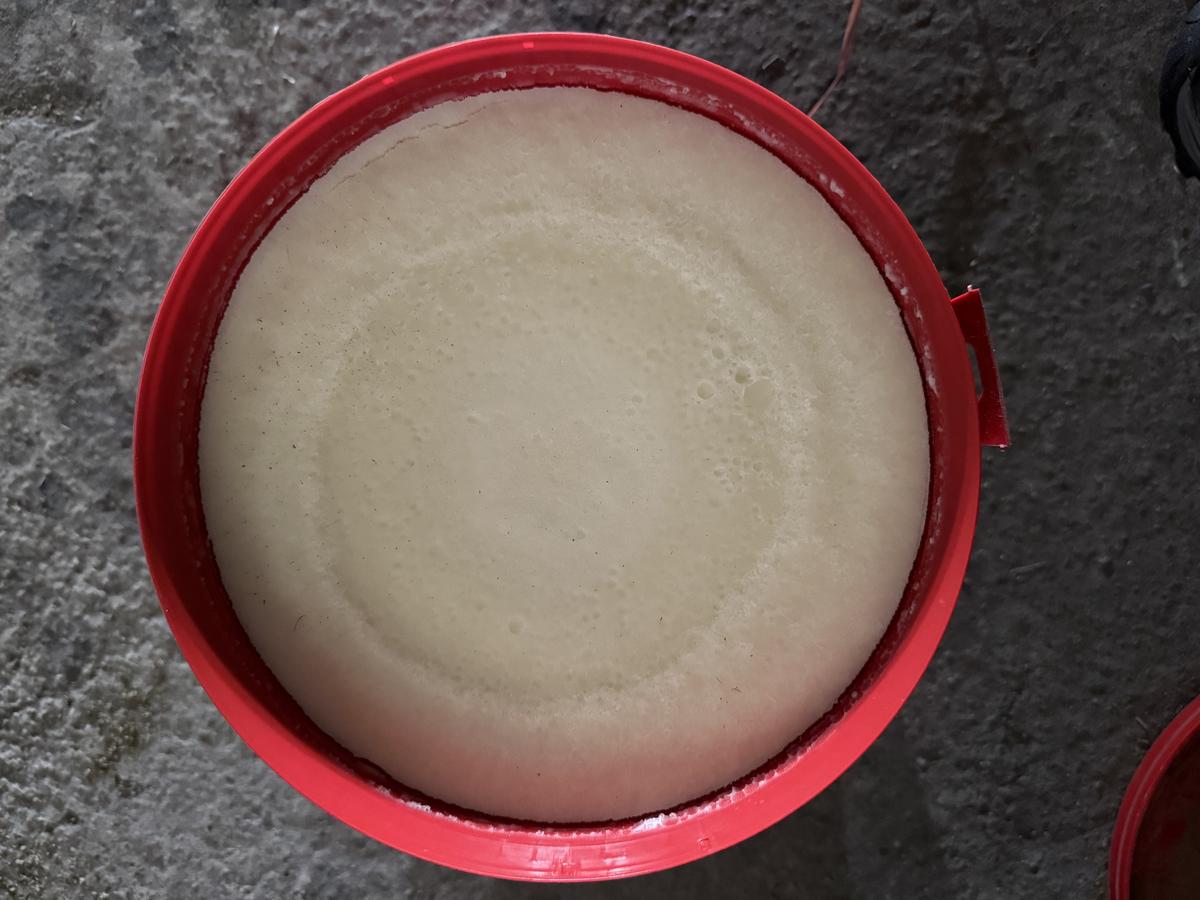 Kevin Bacon’s Hoof Dressing – Graisse blonde 5L – Neuf