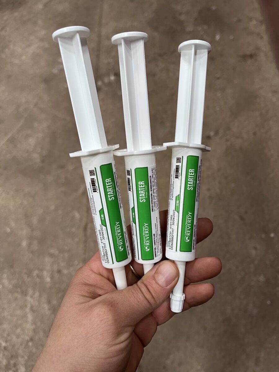 STARTER POULAIN x3 Reverdy