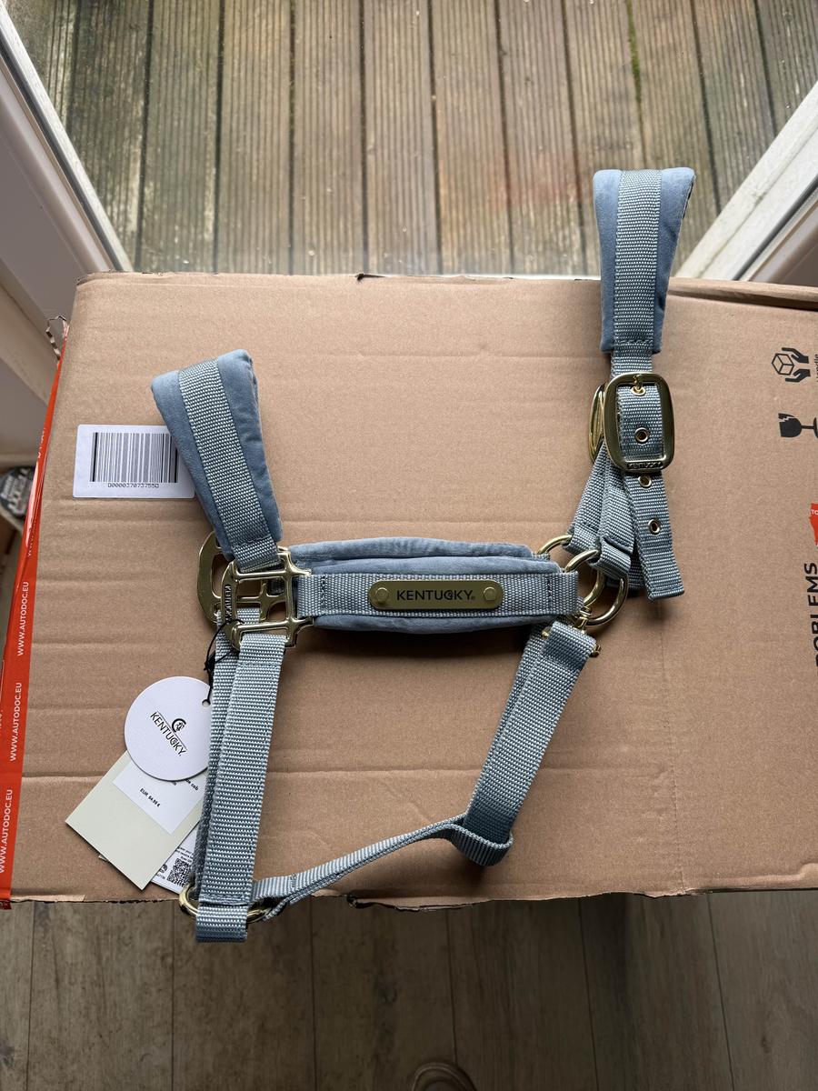 Licol Kentucky Velvet Bleu Ciel