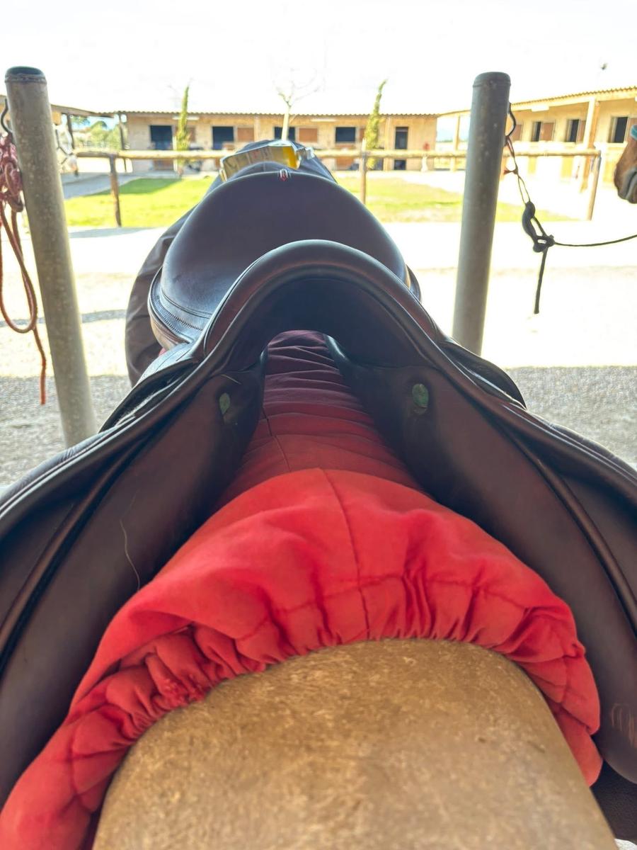 Selle equipe synergie