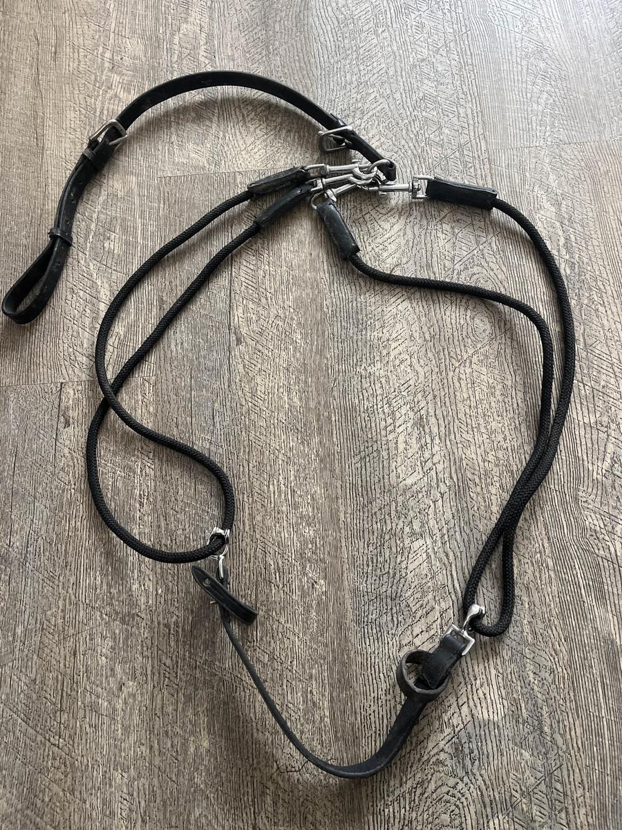 enrenement/gogue pour cheval