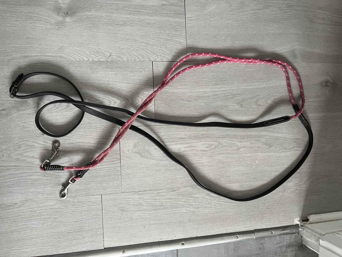 rênes allemandes rose Pénélope