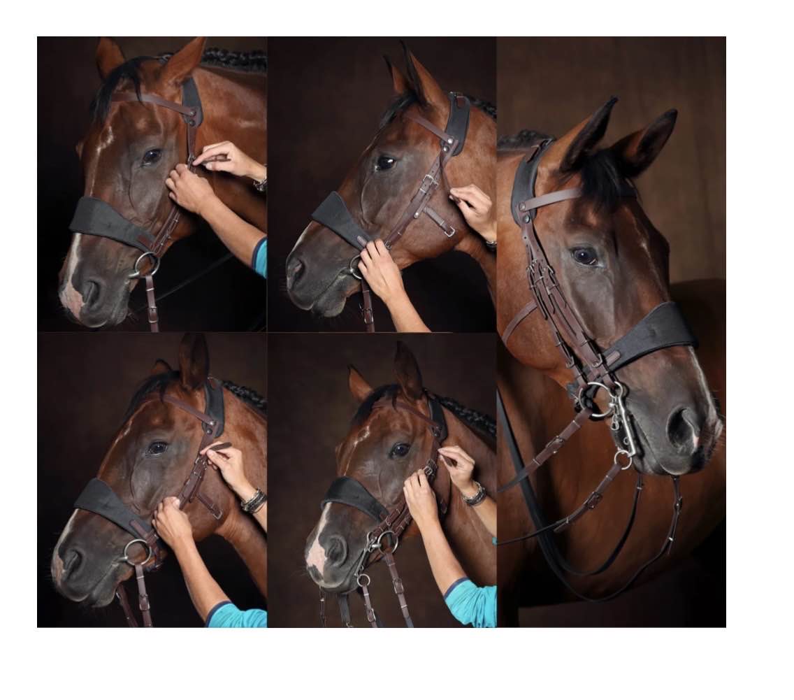 filet+bride equimero