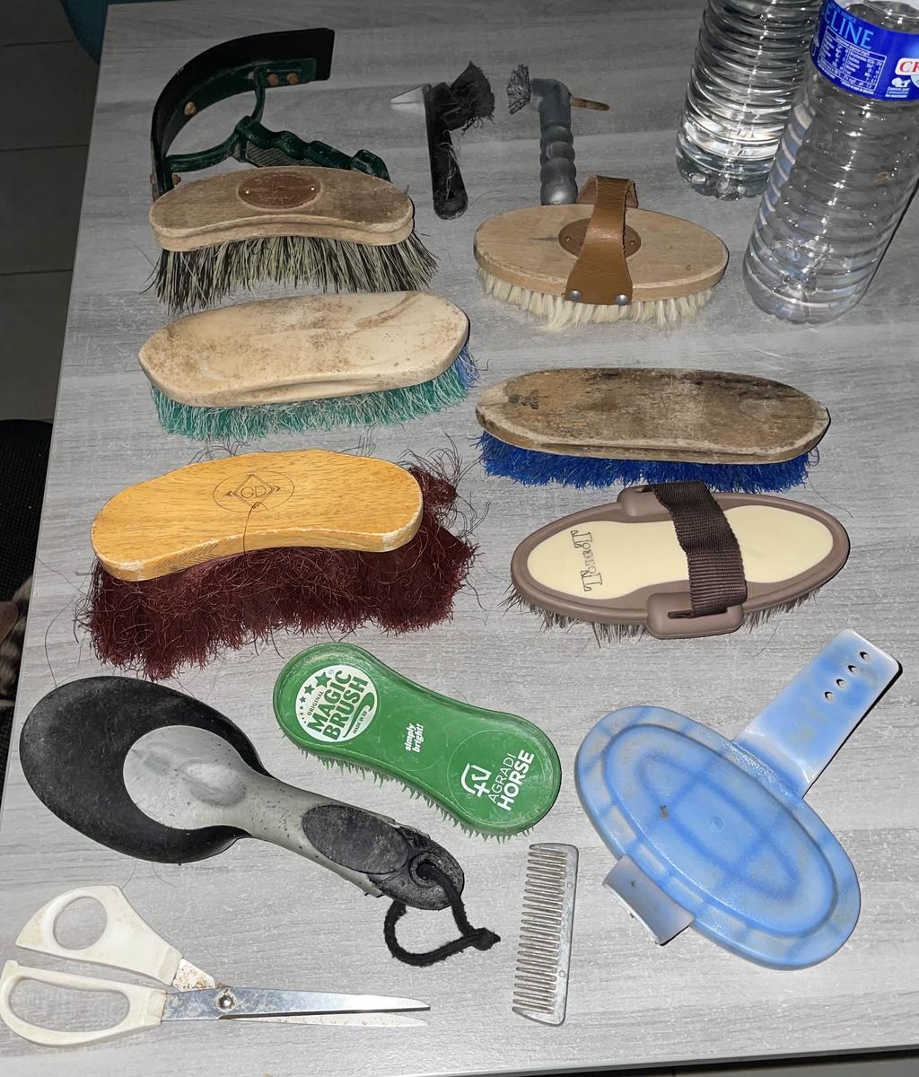 Lot brosses Bostik, Grooming Deluxe, TdeT etc