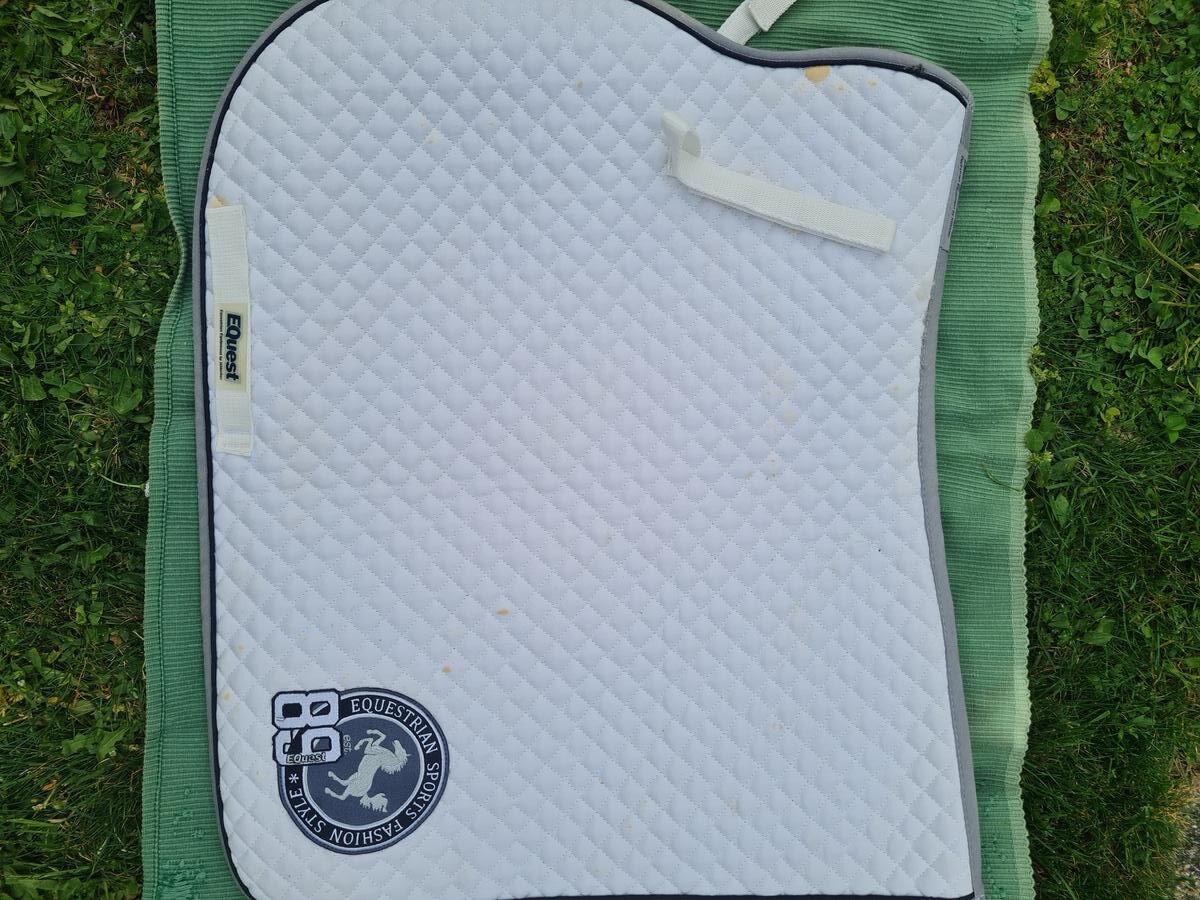 Tapis de dressage concours Equest