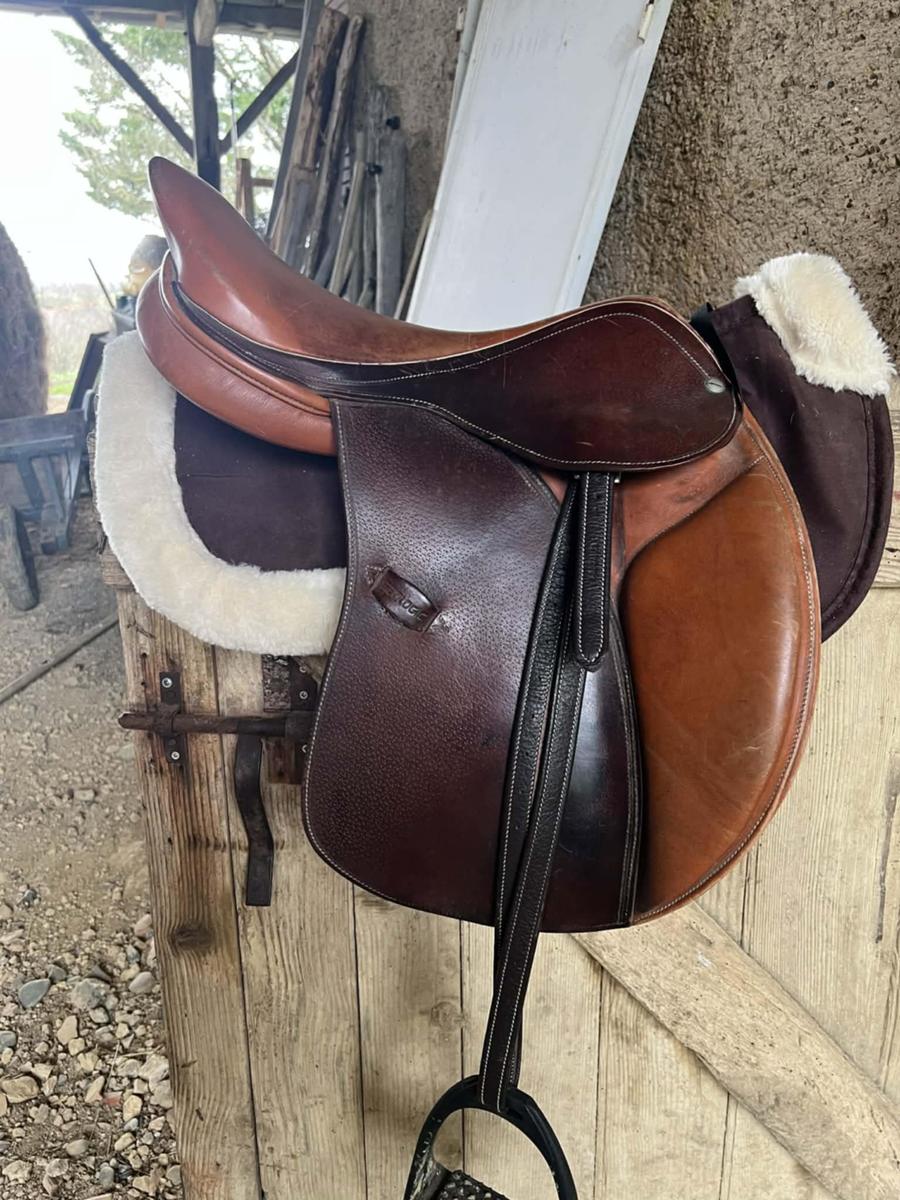 Selle geologic  17,5p