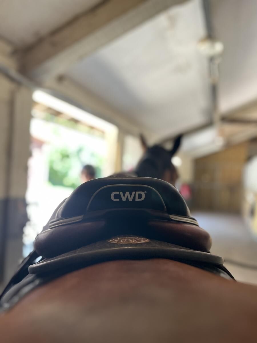 Selle cwd