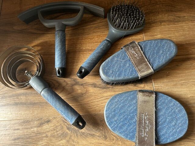 Kit de pansage Showmaster