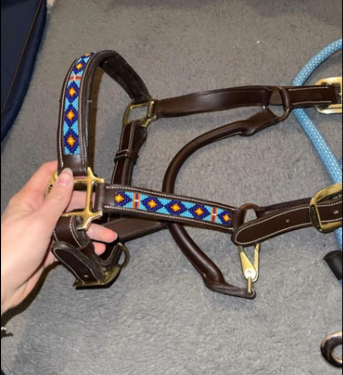 Licol Kentucky pearl