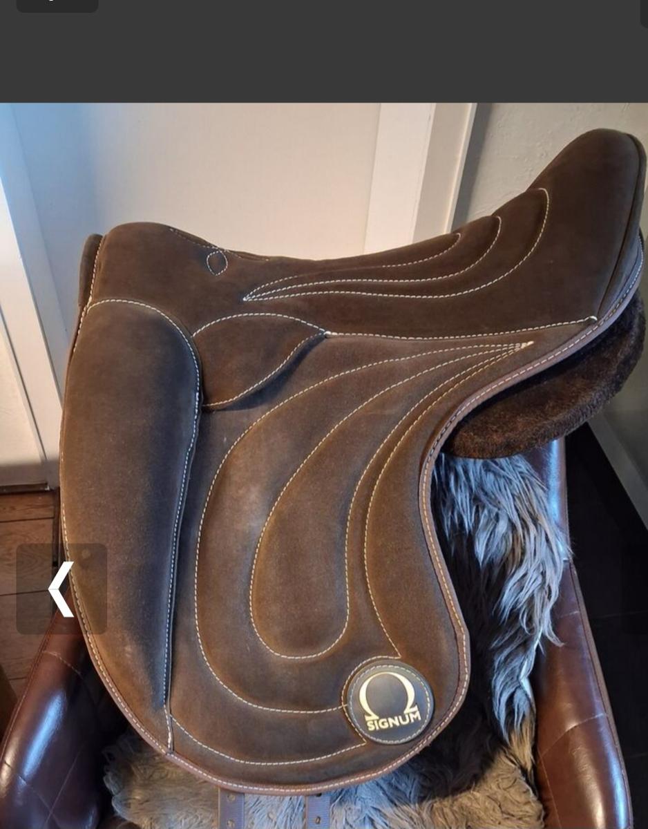 Signum Sattel Gr M