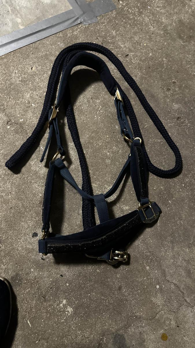 ✨ Licol pailleté très élégant – parfait état ✨