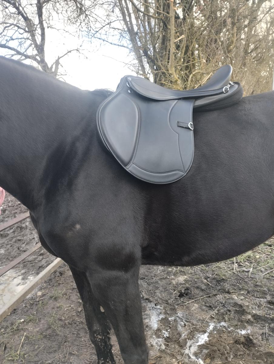 Selle randonnée Rexine Evol Norton