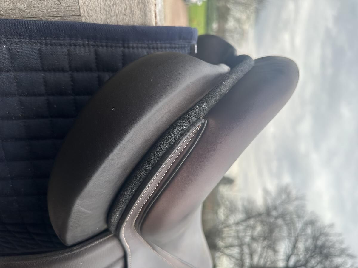 Selle Séoul forestier