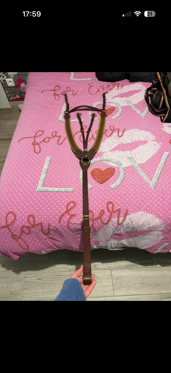 Collier de chasse à élastique Epona