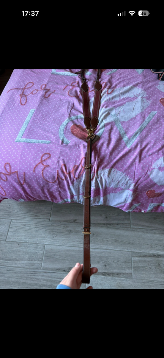 Collier de chasse Eric Thomas elastique