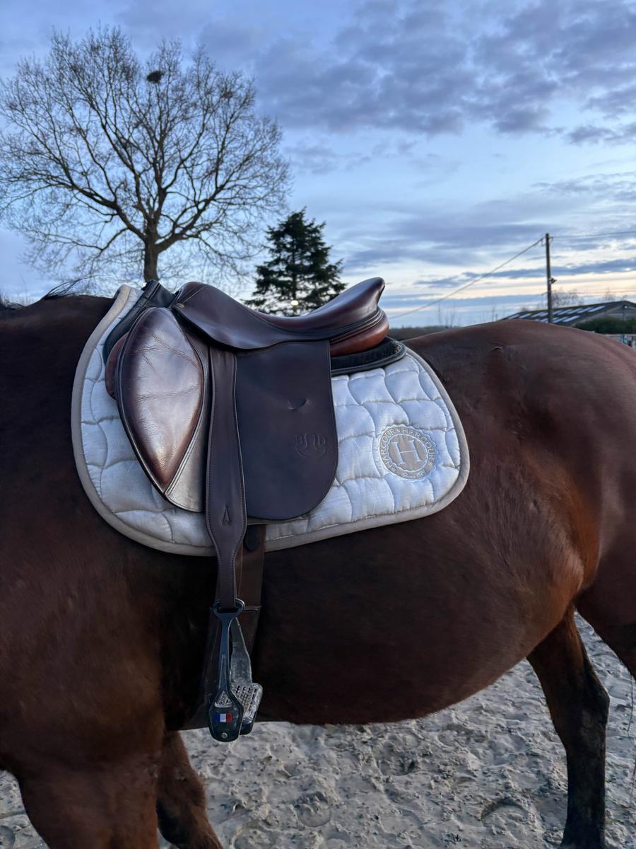 selle Bruno delgrange