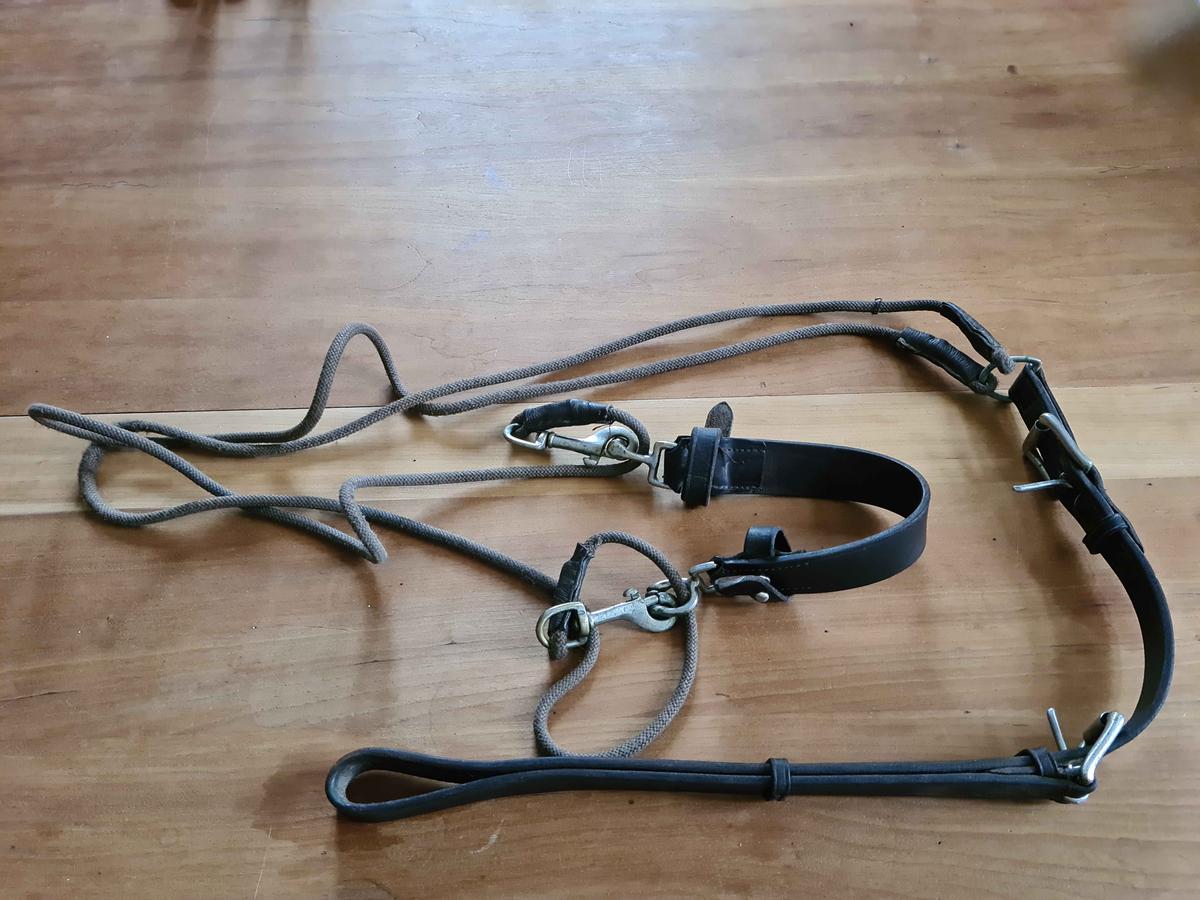 Gogue taille cheval.