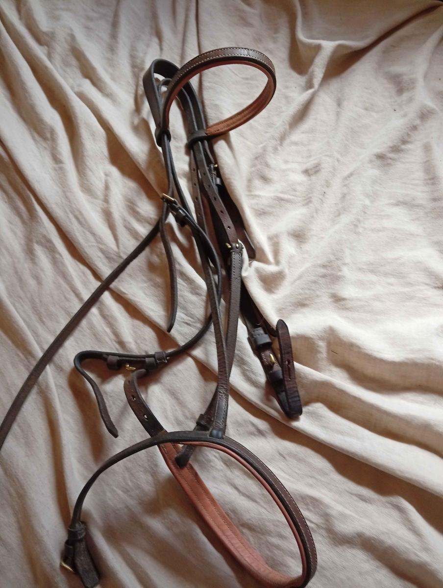 filet simple bicolore