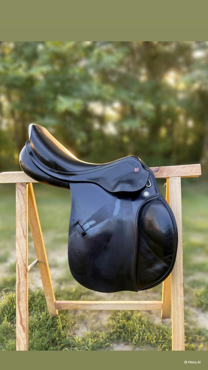 Prestige Elastic Professional 17" - Arcade 33 - Très bon état