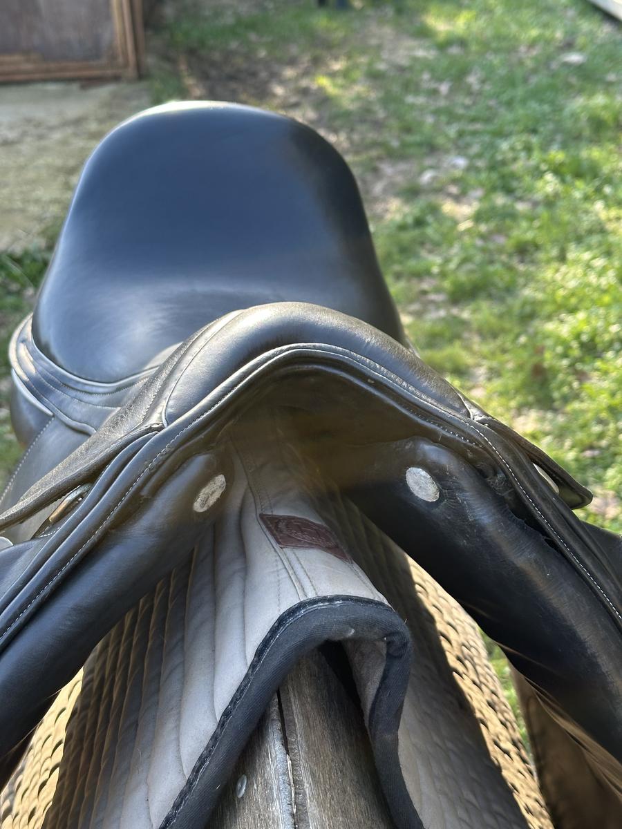 Selle dressage