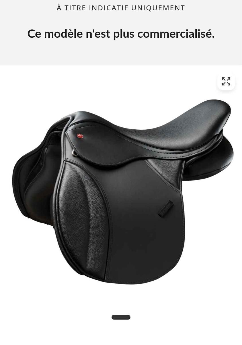 selle thorowgood T8 COB en 17'