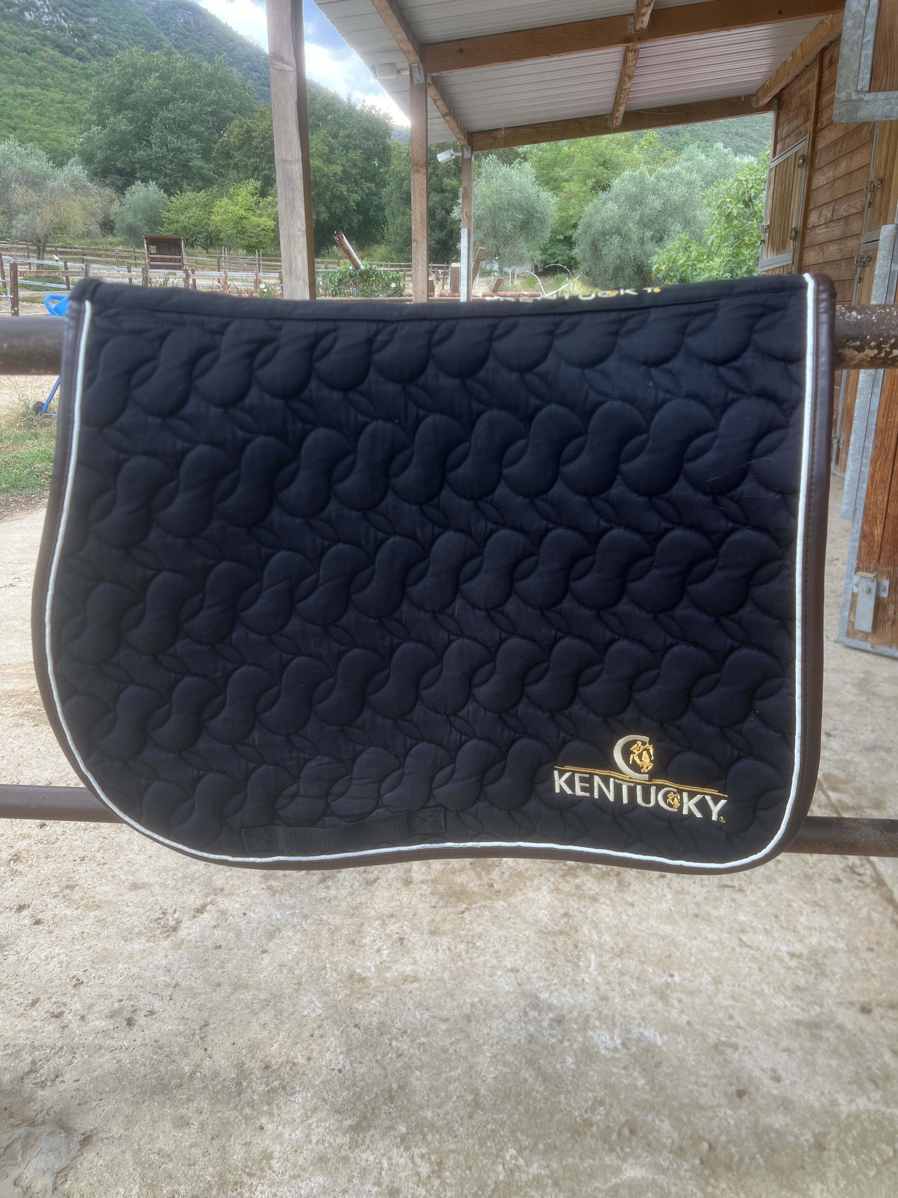 tapis Kentucky