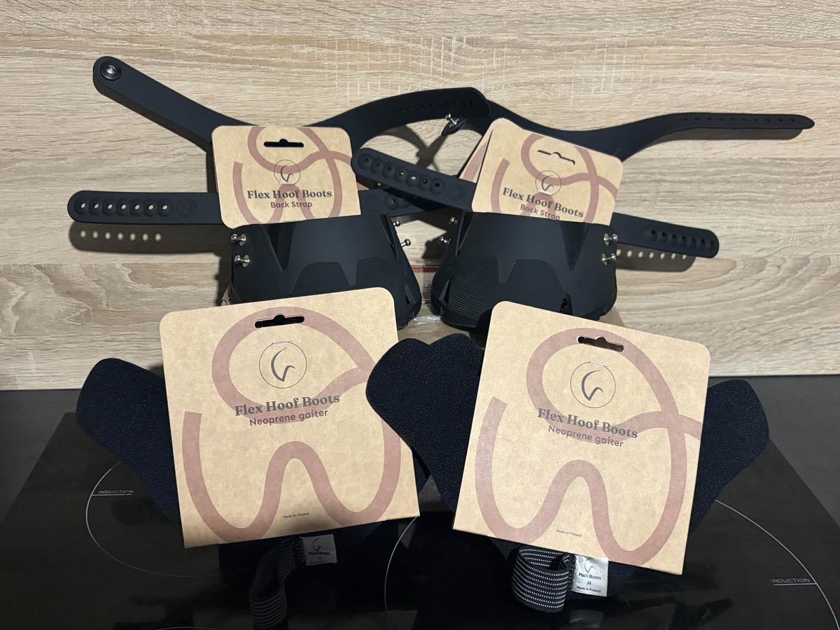 Hipposandales flex horse 125