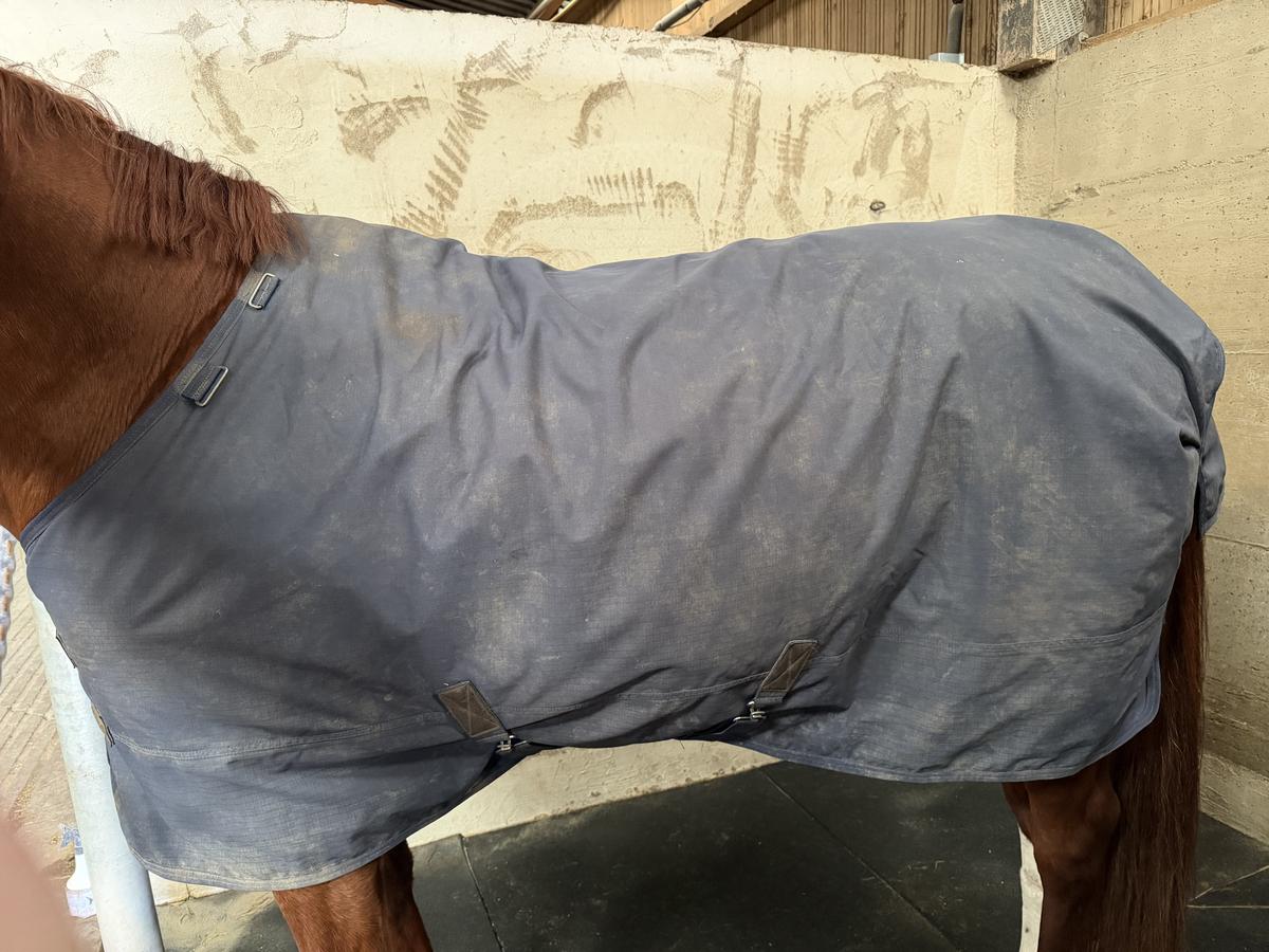 Couverture Kentucky 150g 145cm imperméable