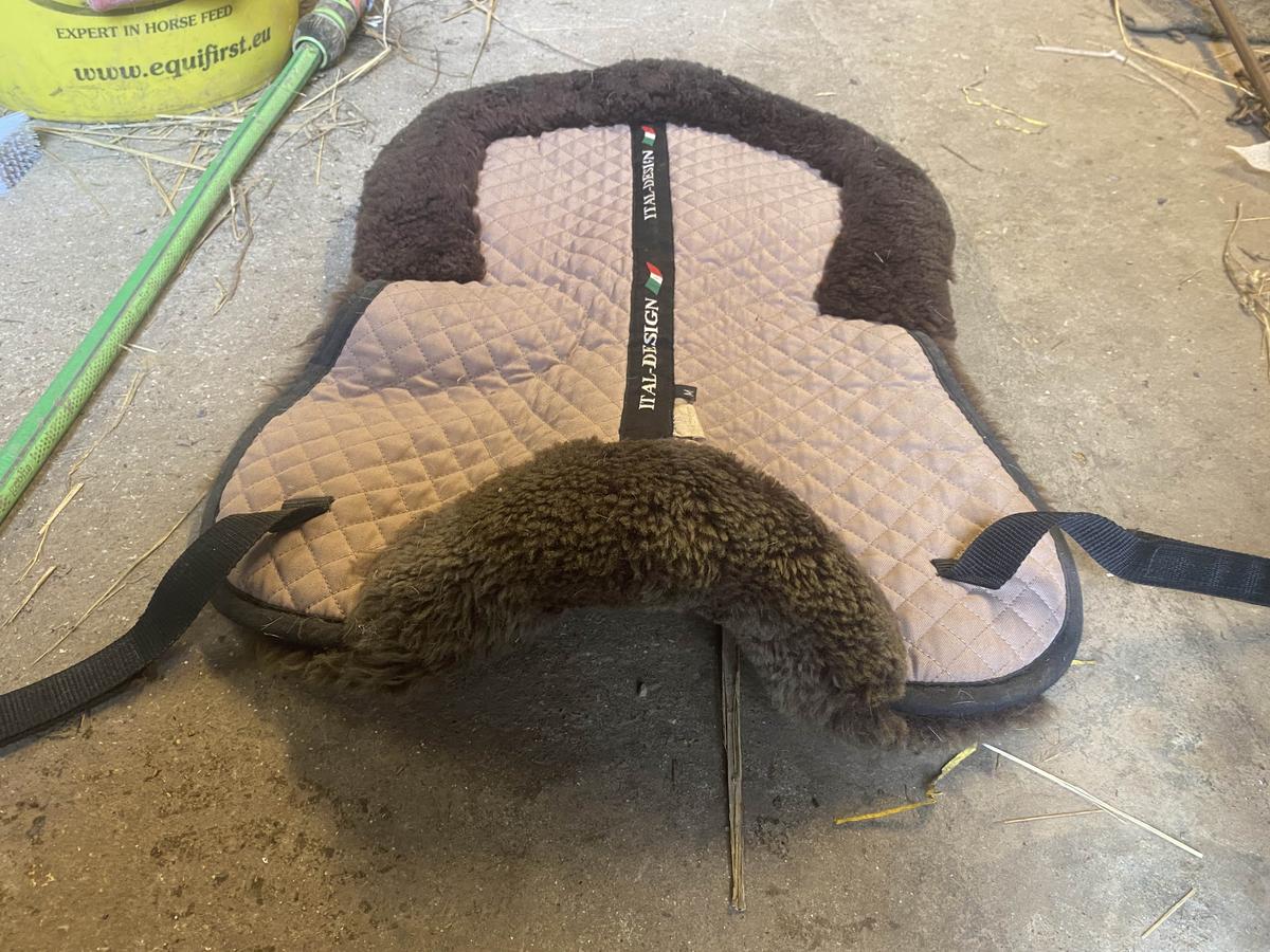 Amortisseur Ital-design