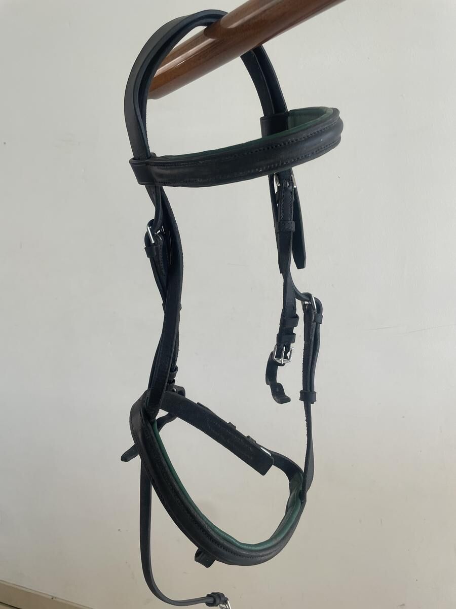 Filet Cob cuir noir doublé vert