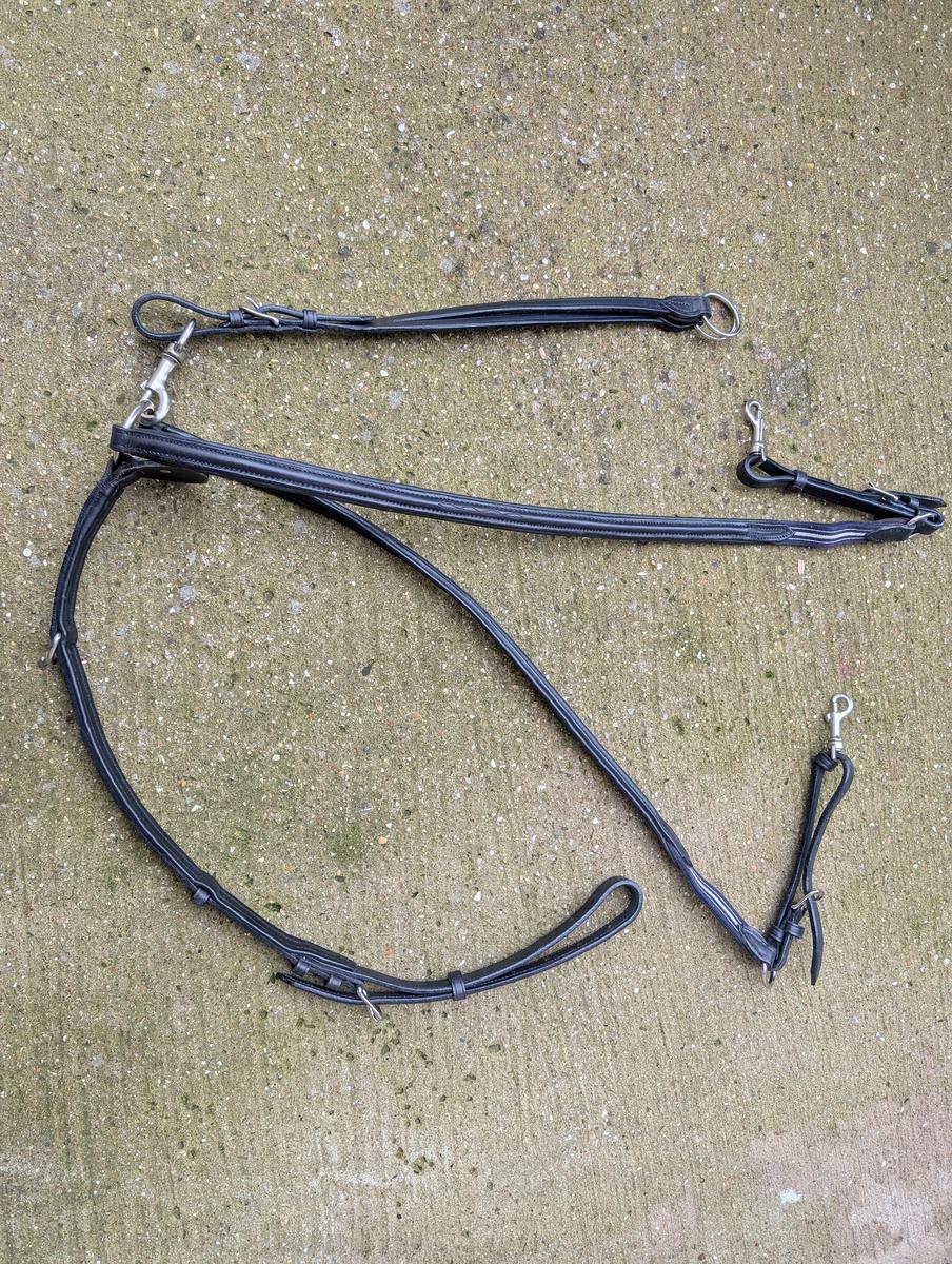 Collier de chasse Antares