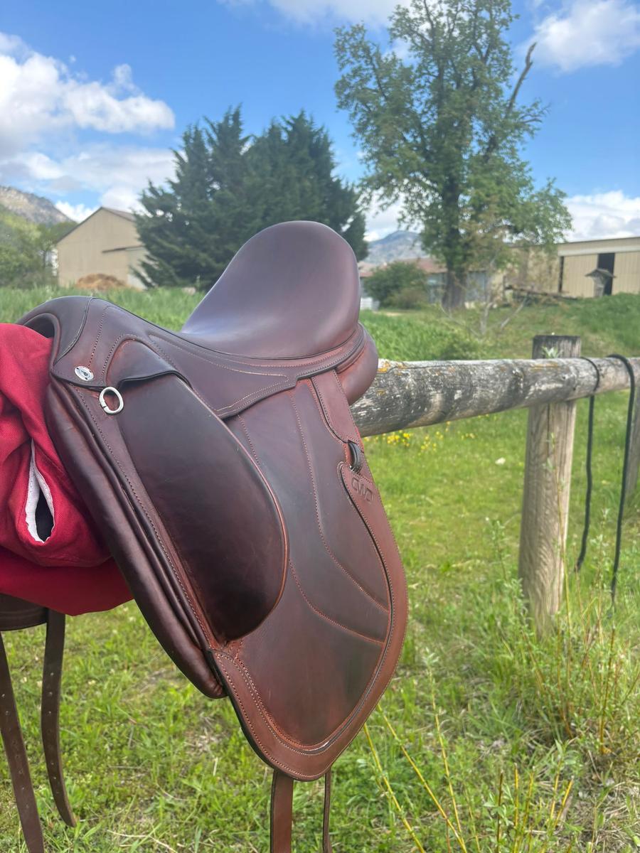 Selle de dressage marron CWD neuve