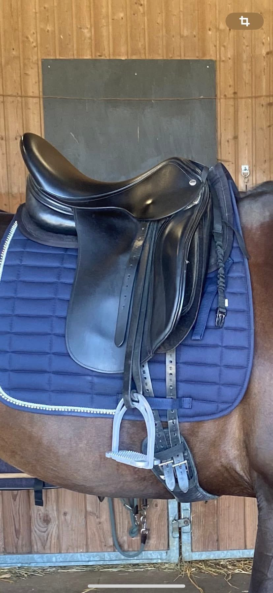 selle de dressage
