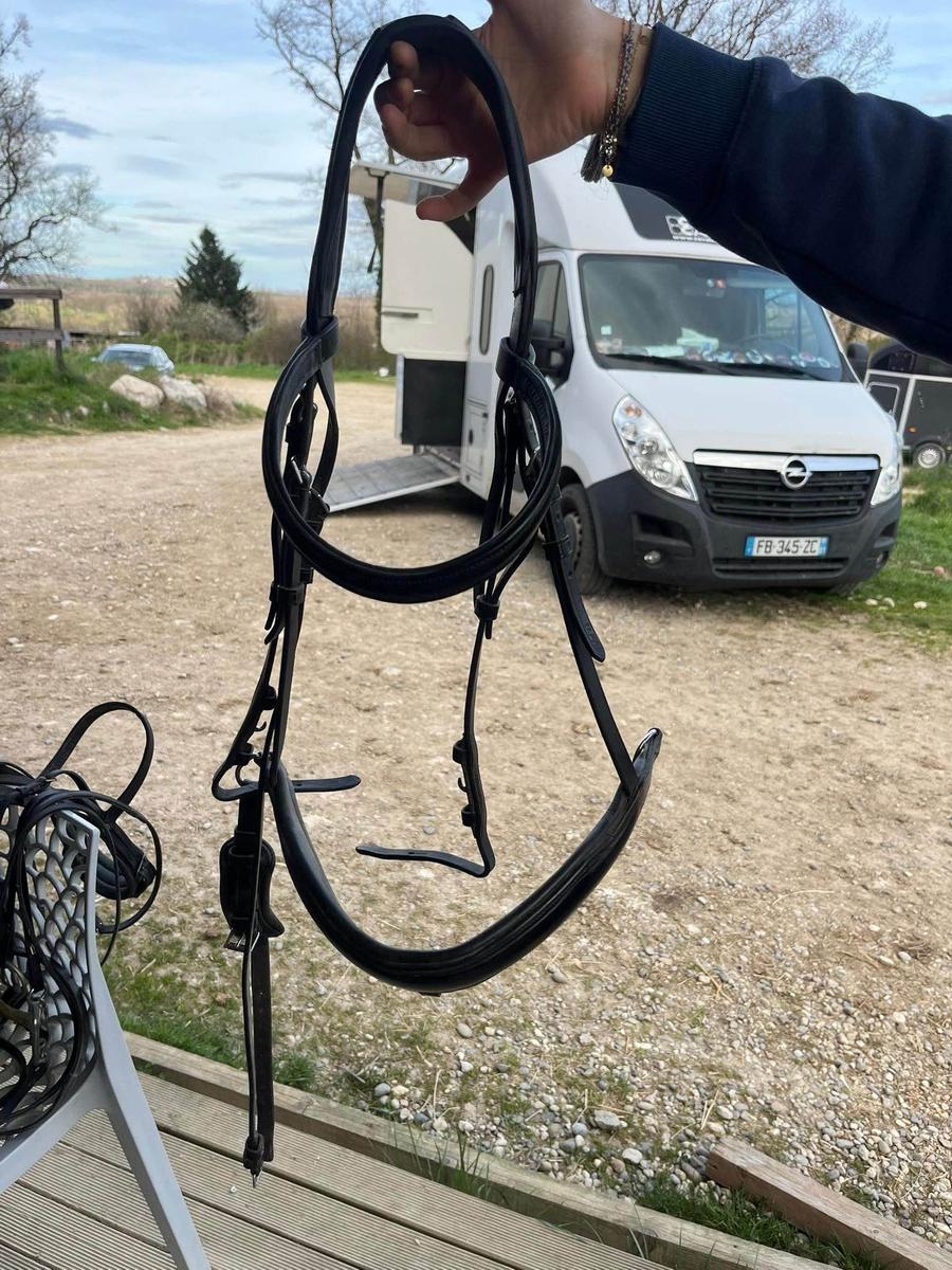 Bridon Schockemöhle