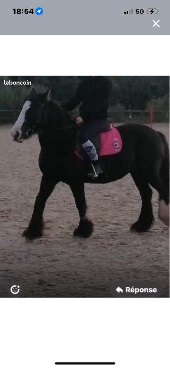 Tapis équitation rose