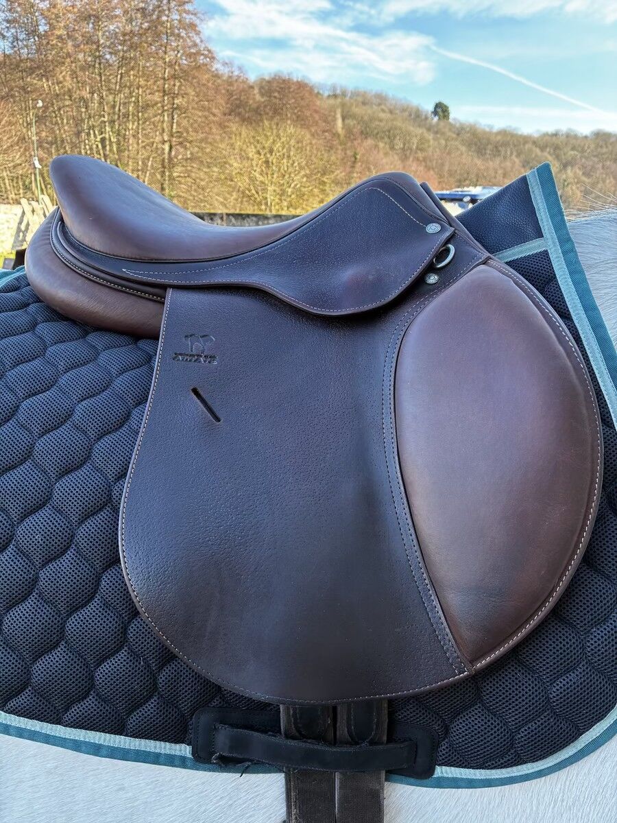 Selle Antarès 17.5 pouces - modèle Altaïr