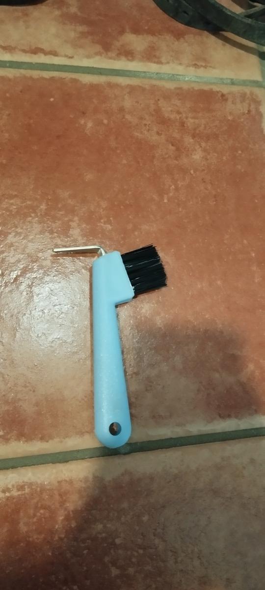 Cure pied bleu