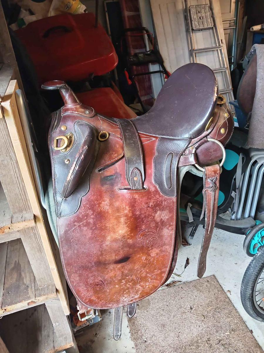 Selle Australienne en Cuir – Complète (sauf sangle ventrale) – Arcade Large