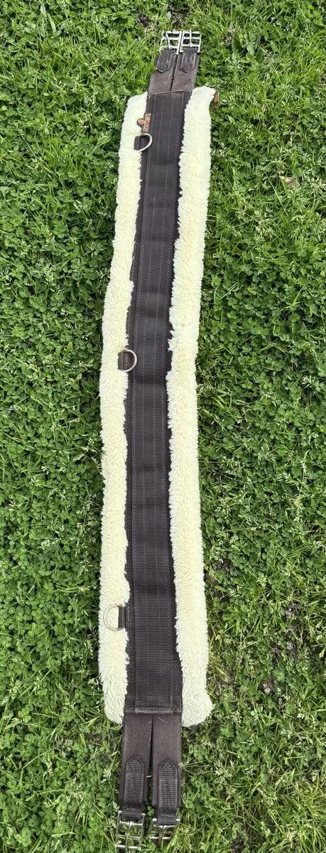 sangle mouton kentucky