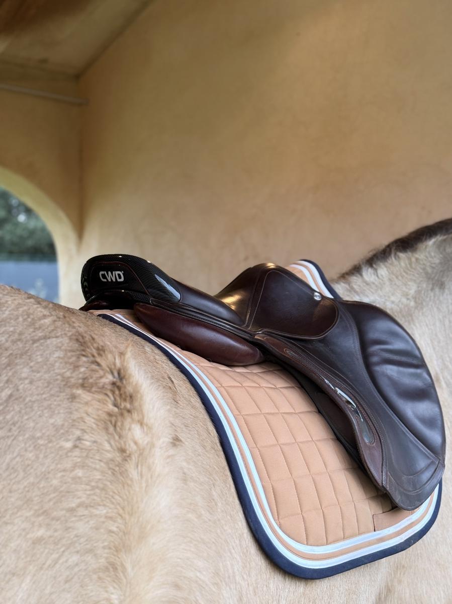 Selle CWD marron