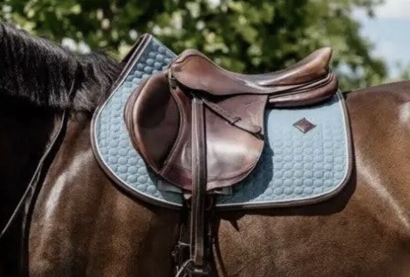 Tapis kentucky