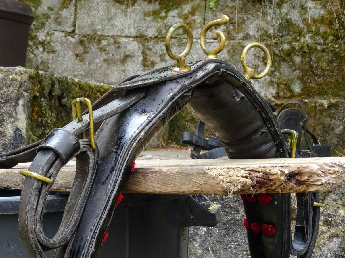 Harnais complet d'attelage pour grand poney ou petit cheval