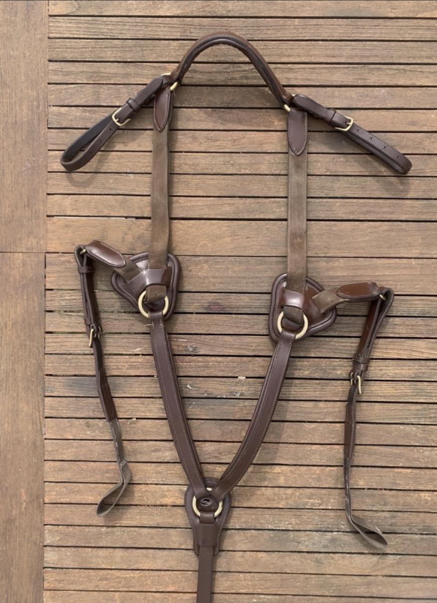 Colliers de chasse + martingale Time rider