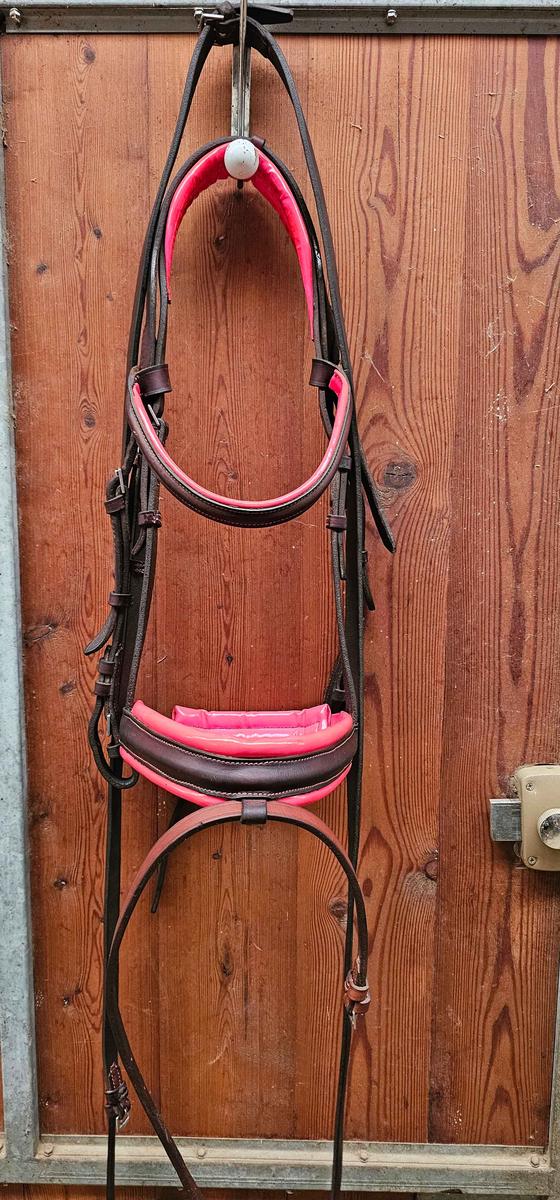 bridon zaldi avec renes