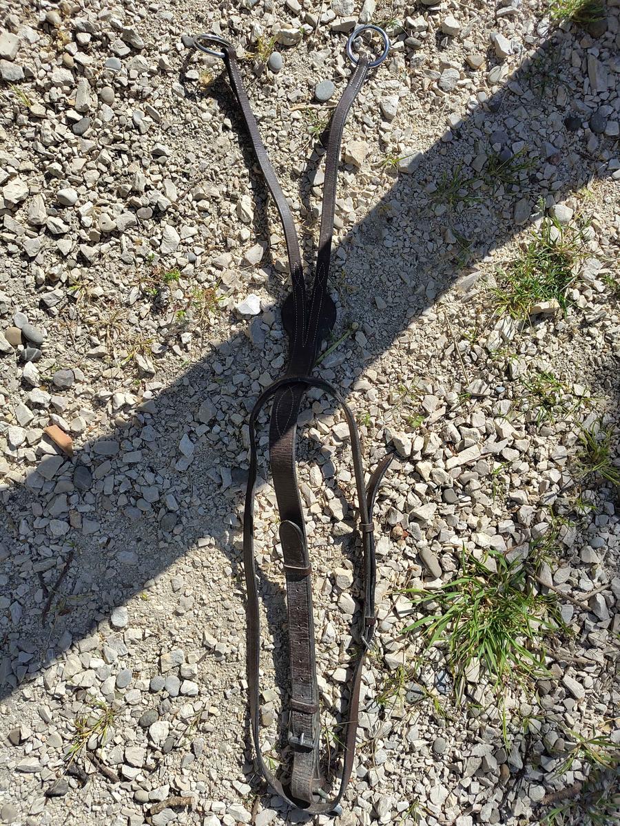 martingale à anneaux