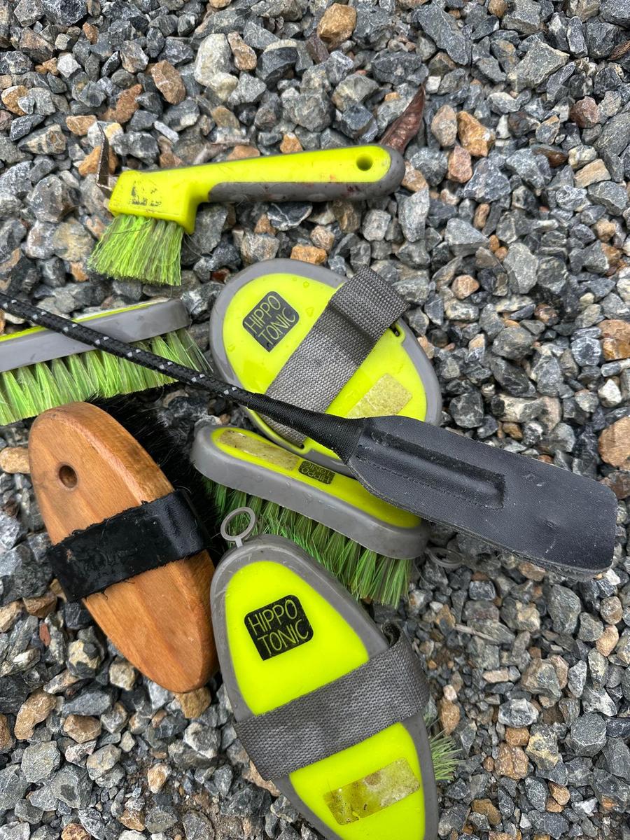 Lot de brosses hippotonic vertes