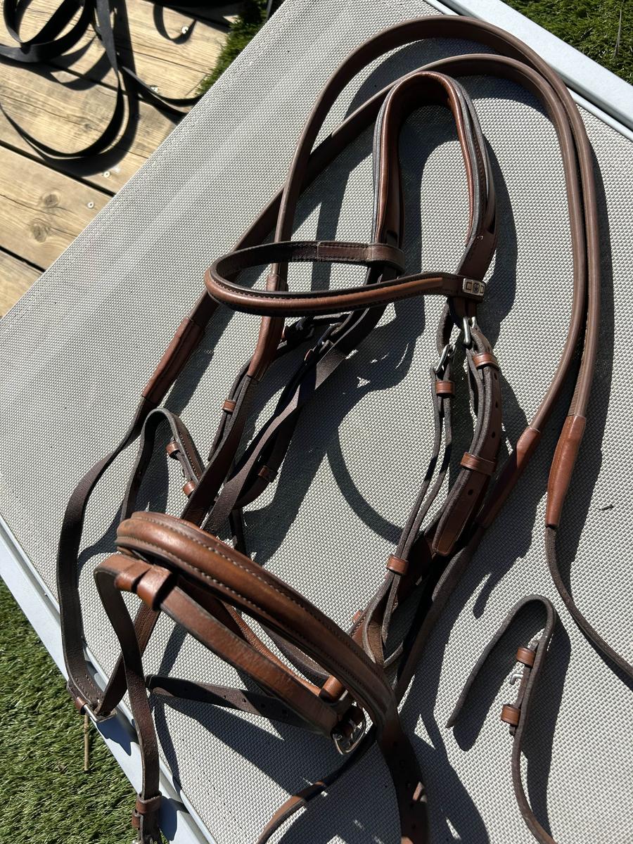 Bridon et rênes stubben taille cheval